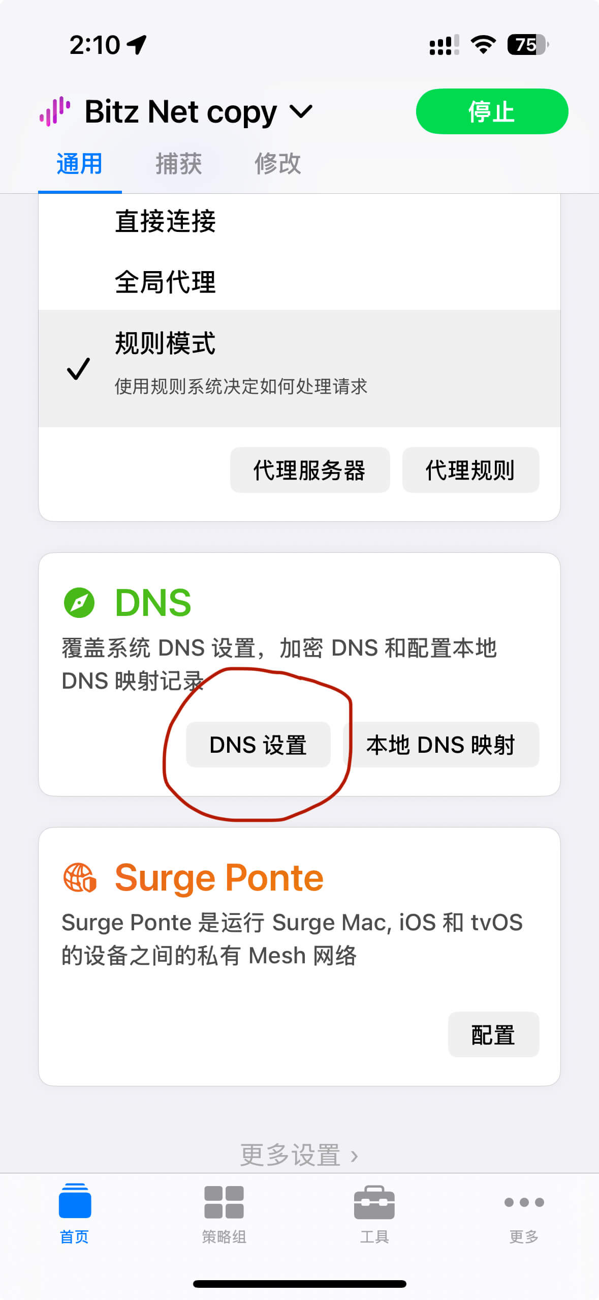 设置Surge的DNS步骤一 设置Surge的DNS步骤一