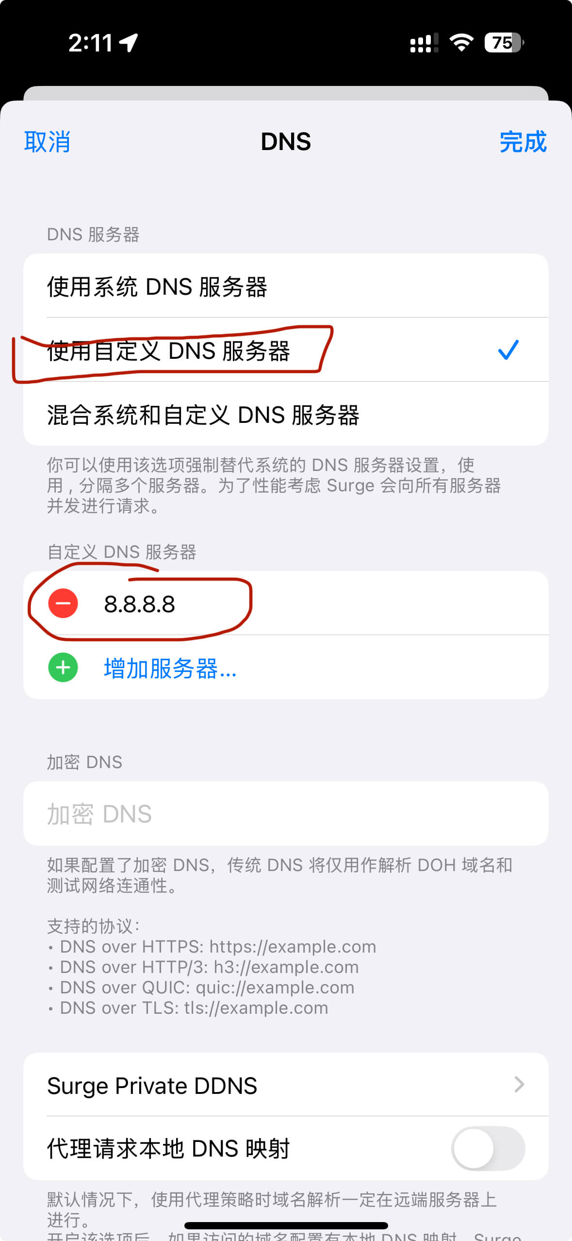 设置Surge的DNS步骤二 设置Surge的DNS步骤二