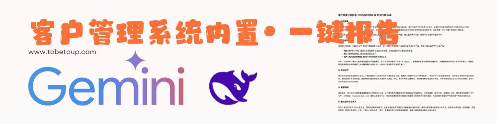 内容Gemini和Deepseek的客户管理系统